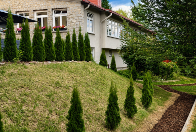 Array, Quelle: Maiers Hotel