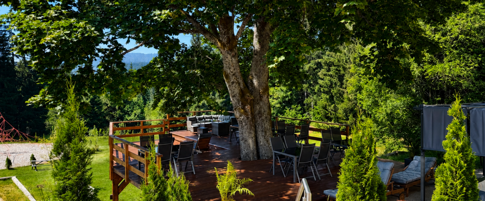 Maiers Hotel - Terrasse/Außenbereich