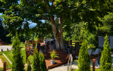 Maiers Hotel - Terrasse/Außenbereich
