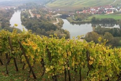Array, Quelle: Akzent Hotel Am Bach
