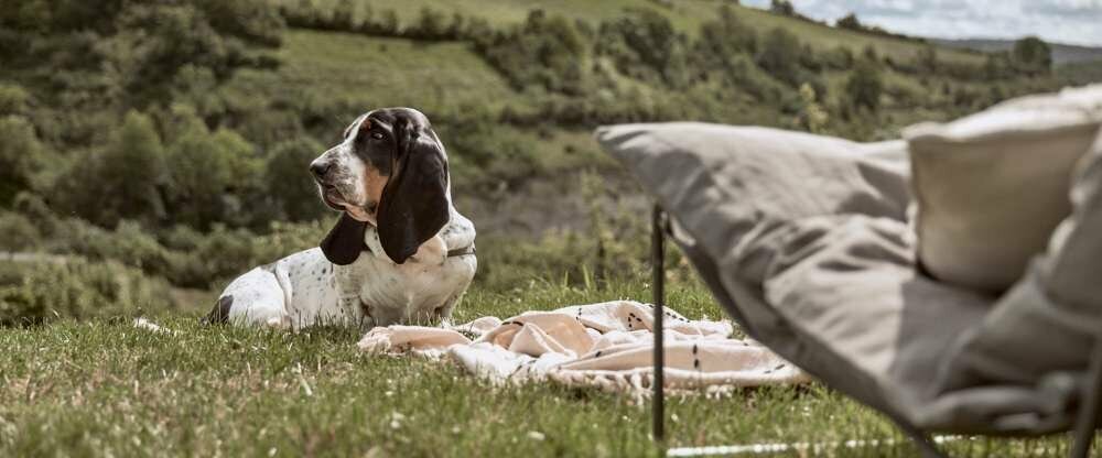 MANA LISA Boutiquehotel - Terrasse/Außenbereich