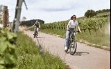 Radfahren durch das schöne Taubertal 