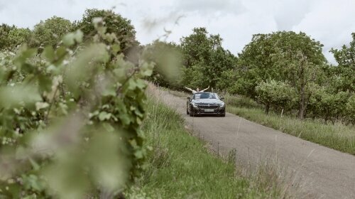 Die schöne Natur im Süden Deutschlands 