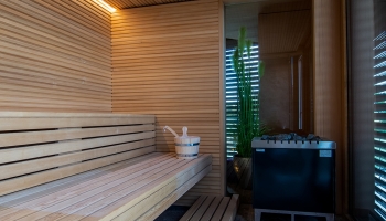 Business Sauna