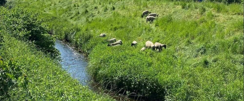 Lüneburger Heide - Umgebung