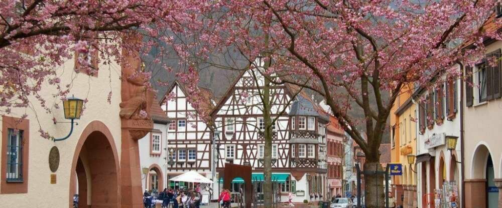 Mittelalterliches Annweiler 