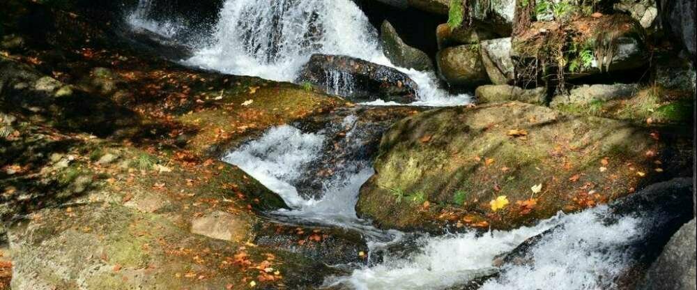 Montanie Resort - Umgebung