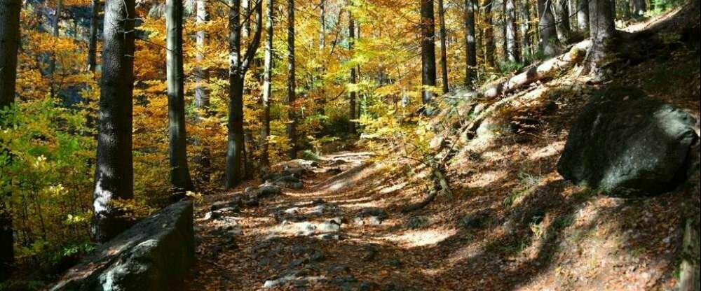 Montanie Resort - Umgebung