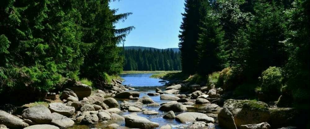 Montanie Resort - Umgebung