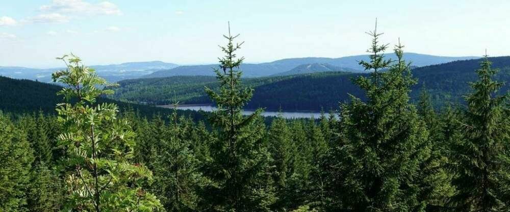 Montanie Resort - Umgebung