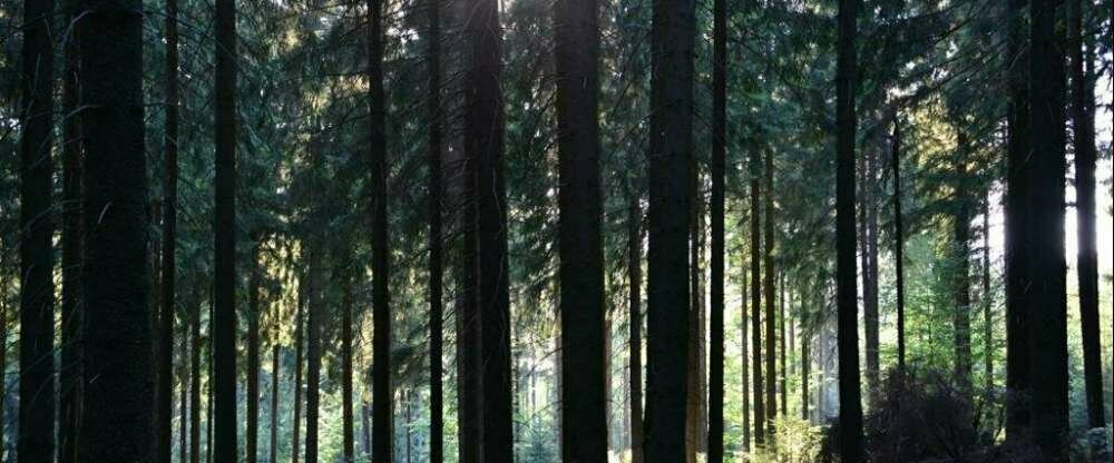 Montanie Resort - Umgebung