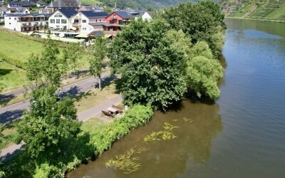 Mosel Village Resort - Hotel-Außenansicht