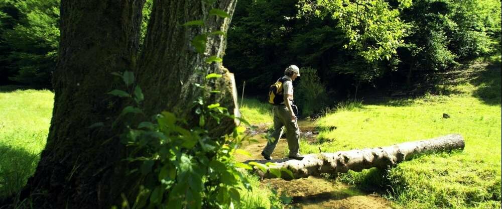 Müller´s Landhotel - Umgebung
