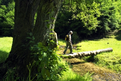 Array, Quelle: Müller´s Landhotel