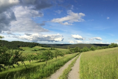 Array, Quelle: Müller´s Landhotel