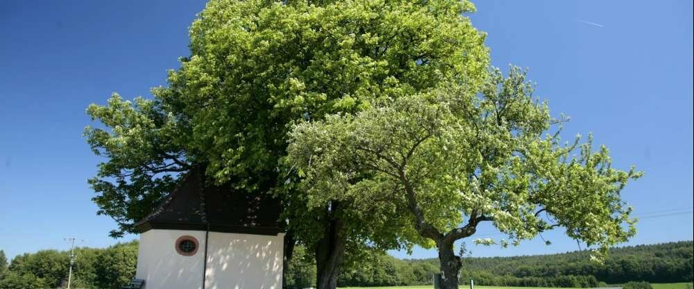 Müller´s Landhotel - Umgebung