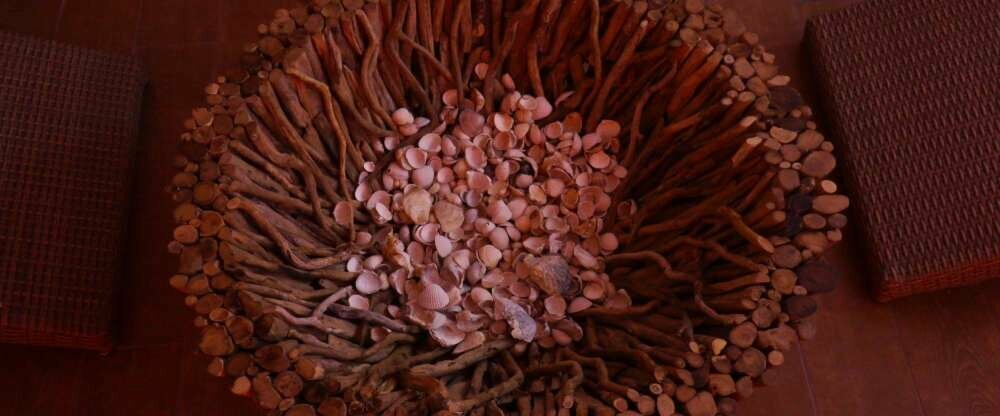 Muscheln im Ruheraum