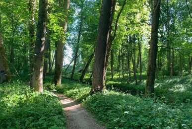 Natur Hotel Lindenhof - Hotel-Außenansicht, Quelle: Natur Hotel Lindenhof