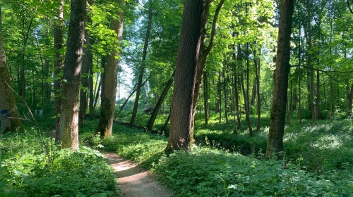 Natur Hotel Lindenhof - Hotel-Außenansicht