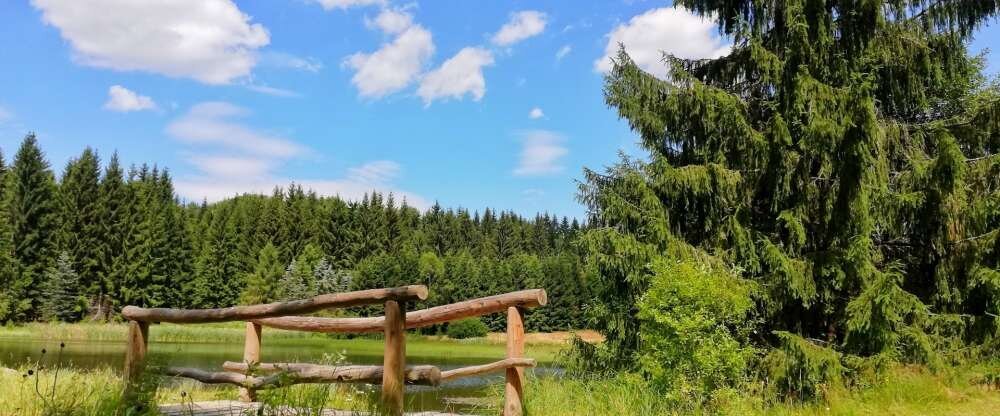 Natur Hotel Lindenhof - Hotel-Außenansicht