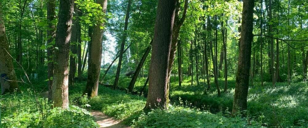 Natur Hotel Lindenhof - Sonstiges