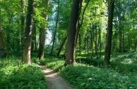 Natur Hotel Lindenhof - Sonstiges