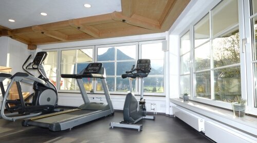 Naturhotel Cafe Waldesruhe - Hotel-Matrix Fitness Center