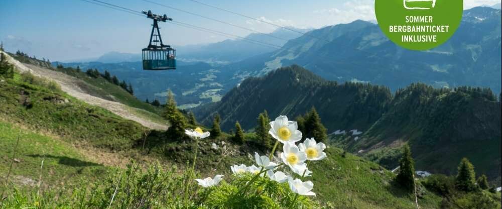 Naturhotel Cafe Waldesruhe - Umgebung