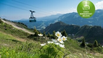 Naturhotel Cafe Waldesruhe - Umgebung