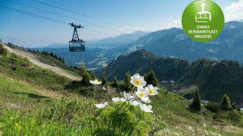 Naturhotel Cafe Waldesruhe - Umgebung