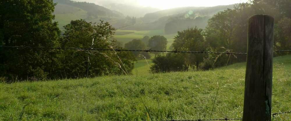 NaturKulturHotel Stumpf - Umgebung