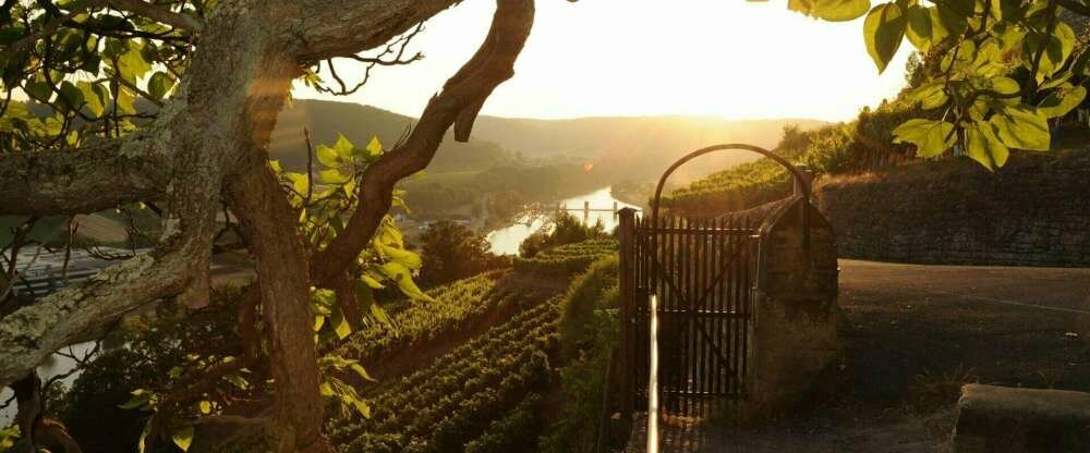 NaturKulturHotel Stumpf - Umgebung
