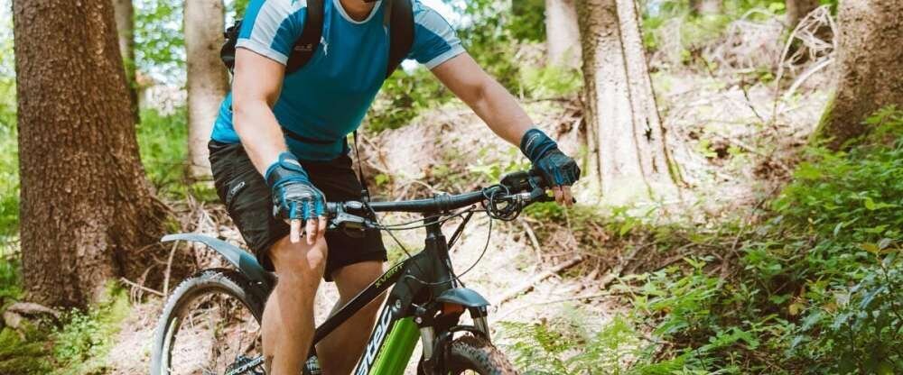 Naturparkhotel Adler St. Roman - Umgebung