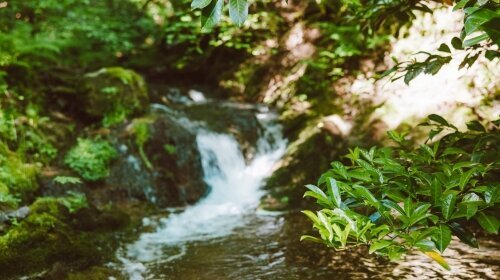 Naturparkhotel Adler St. Roman - Umgebung