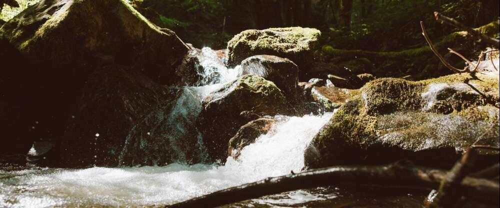 Naturparkhotel Adler St. Roman - Umgebung