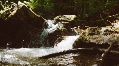 Naturparkhotel Adler St. Roman - Umgebung