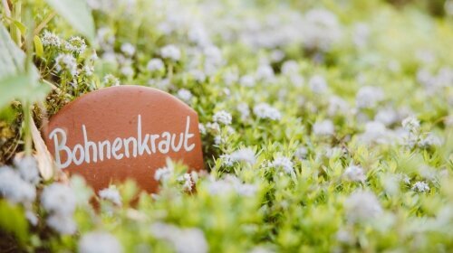 Naturparkhotel Adler St. Roman - Umgebung