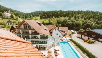 Naturparkhotel Adler St. Roman - Wellnessbereich