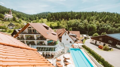 Naturparkhotel Adler St. Roman - Wellnessbereich