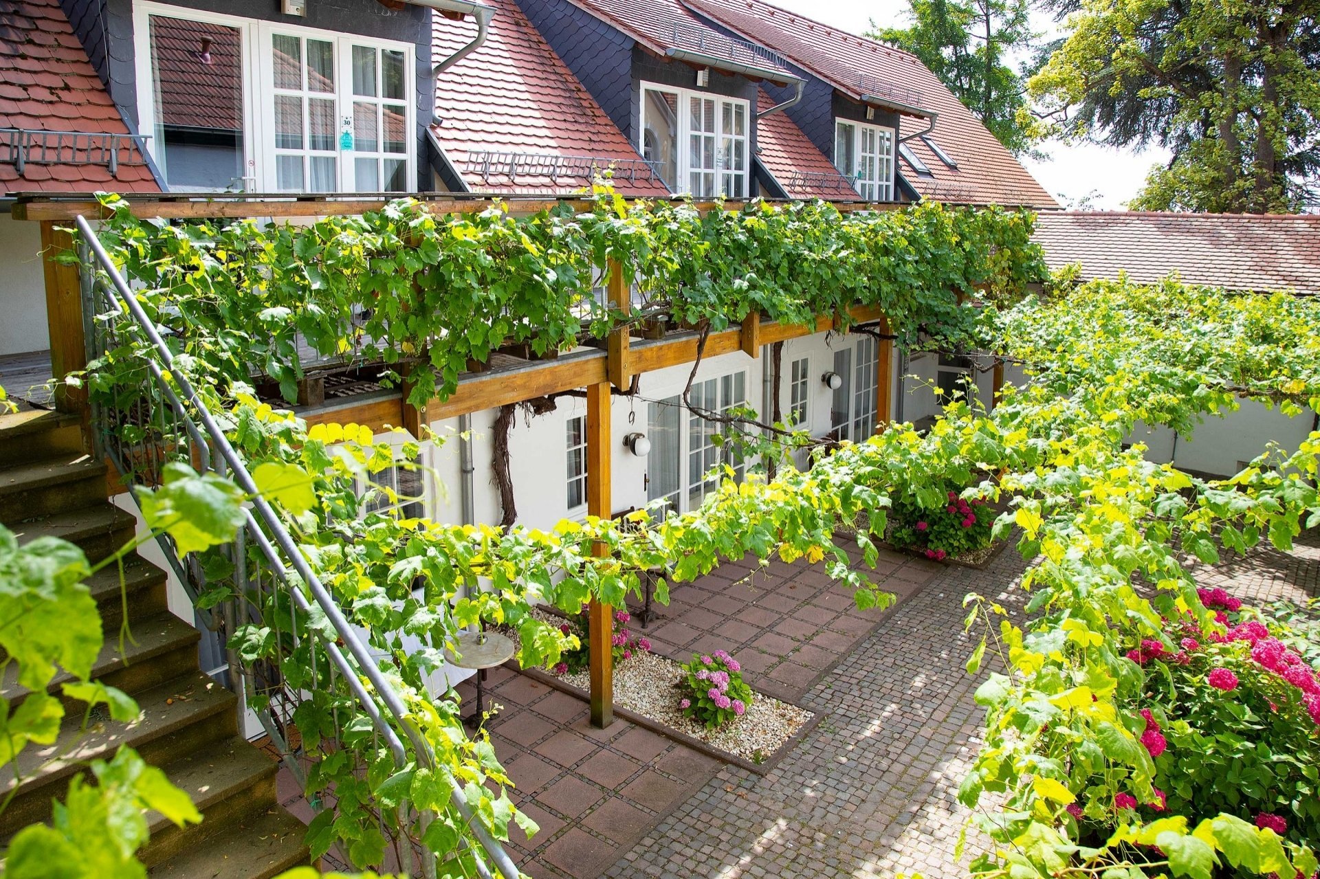 Vineyard in Love - 3 Tage romantische Auszeit in der Pfalz genießen