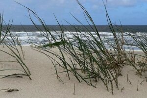 Nordsee