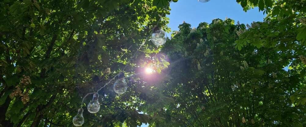 Oste-Hotel*** Superior - Terrasse/Außenbereich