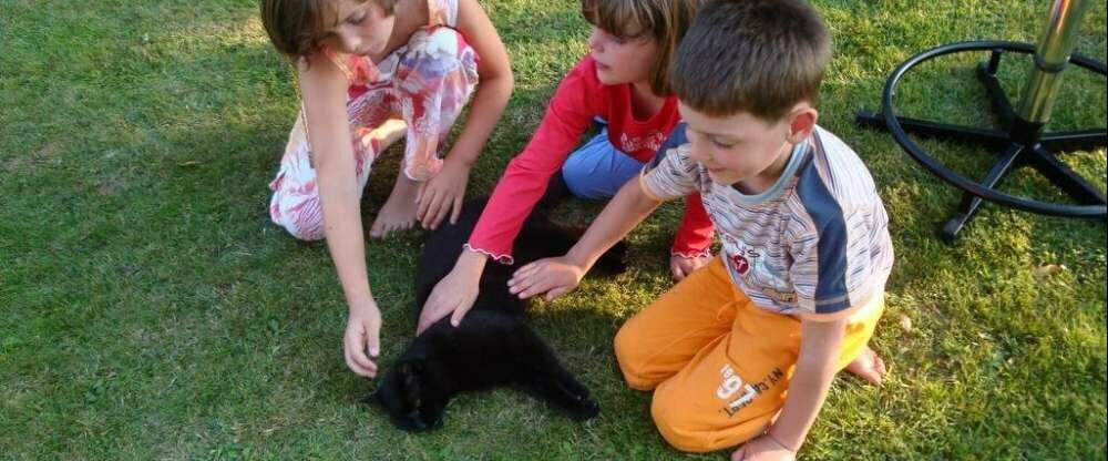 Ostsee Urlaub mit Kindern