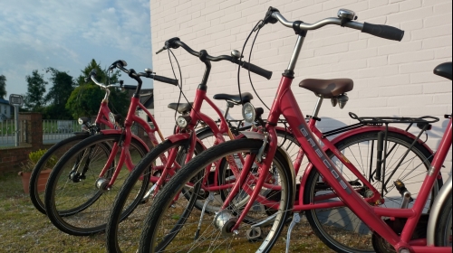 Ostseehotel & boardinghouse Kappeln - Fahrradverleih