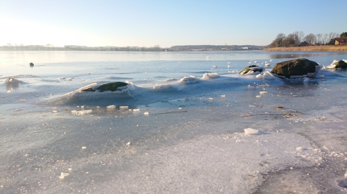 Ostseehotel & boardinghouse Kappeln - Umgebung: Winterlandschaft an der Schlei