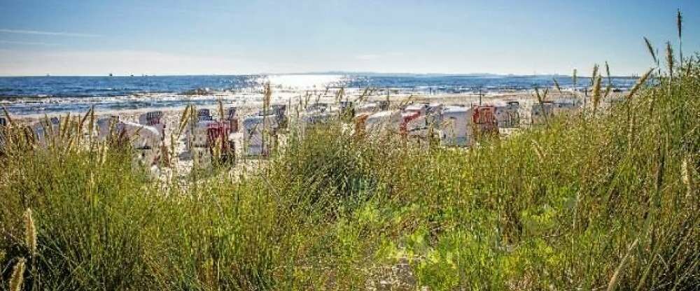 Ostseehotel Villen Im Park - Ein Rovell Hotel - Umgebung