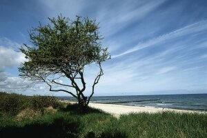 Ostseeküste v. VMO