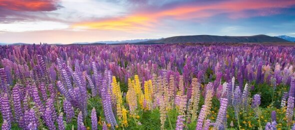 Panorama Berghotel Wettiner Höhe - Hotel-Außenansicht, Quelle: Panorama Berghotel Wettiner Höhe