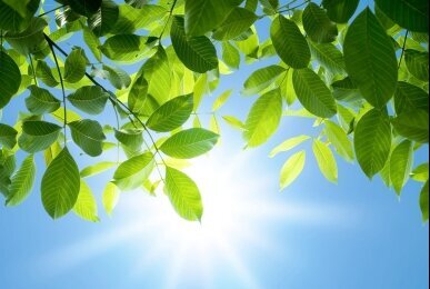 Array, Quelle: Panorama Berghotel Wettiner Höhe