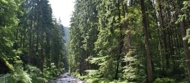 Spartage, Quelle: Panorama Berghotel Wettiner Höhe